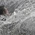 Oops Water Ski